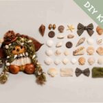 Tidebell Shell Girl Pod Doll DIY kit flat lay with seashells ribbon bow and crafting materials