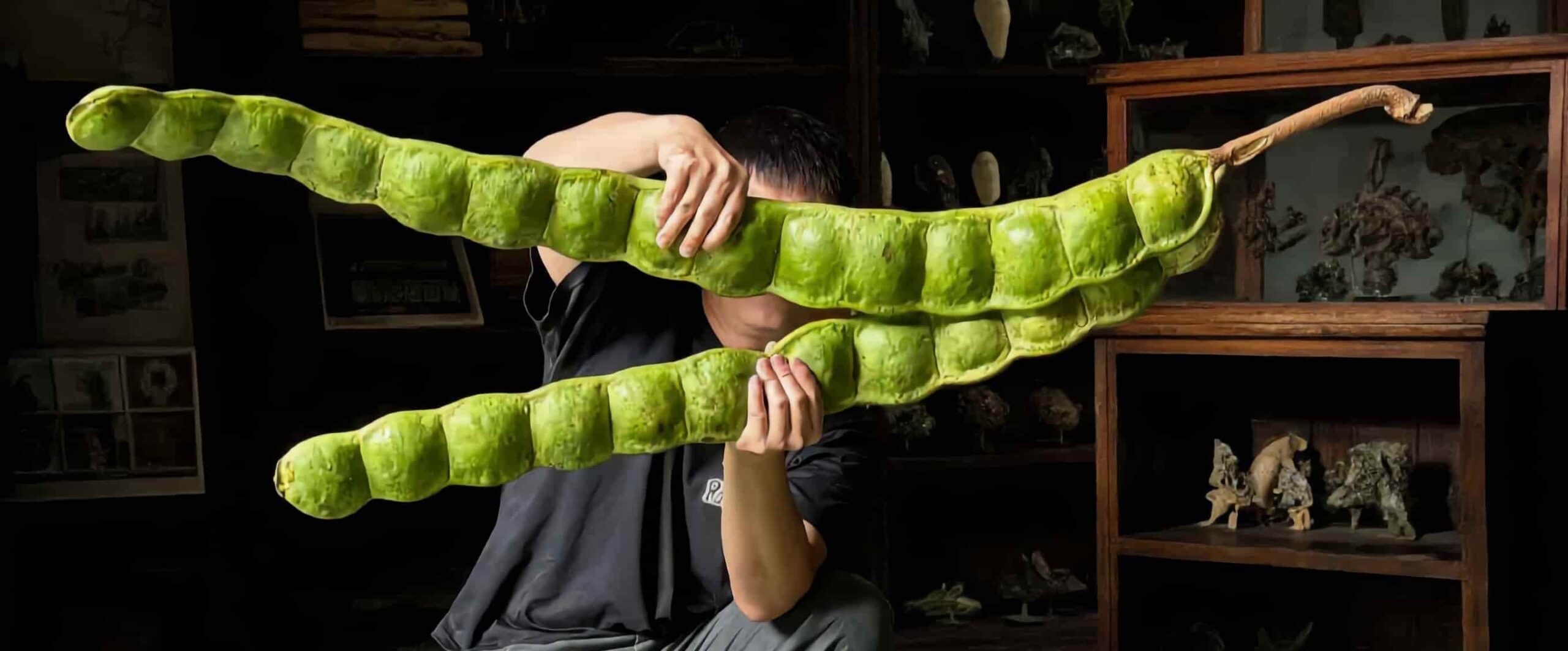 banner-1-1-scaled