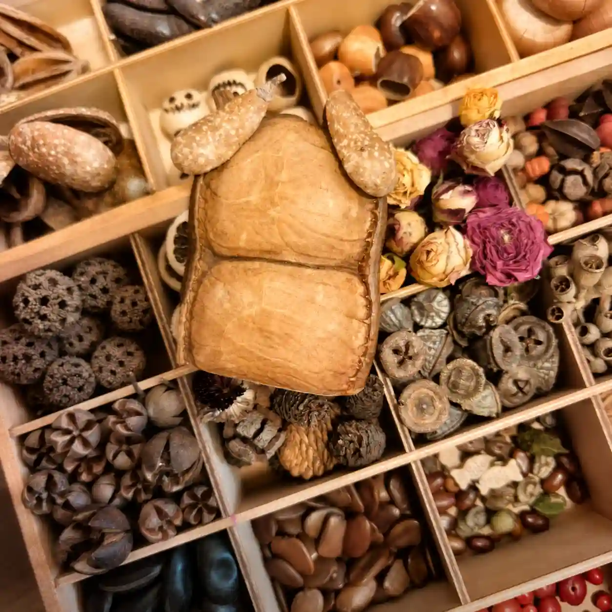 Natural seed pod materials used to make handmade pod dolls