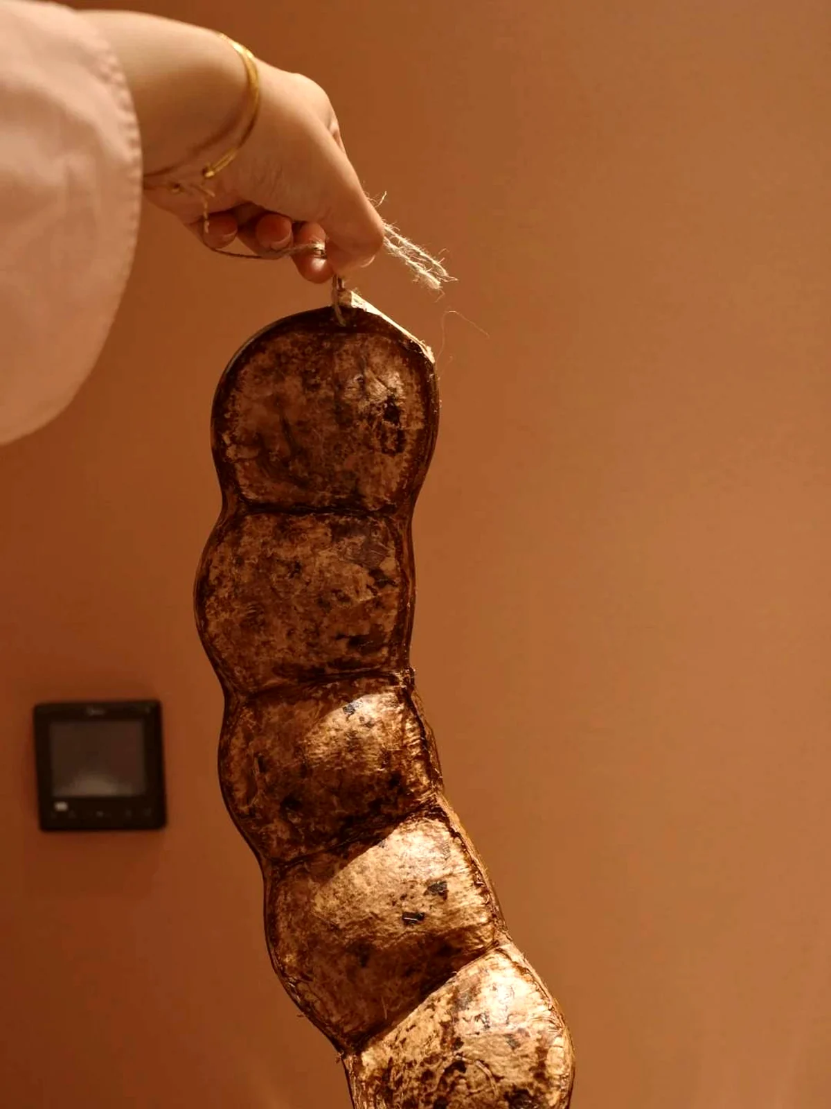 Natural seed pod shell held before becoming a handmade pod doll